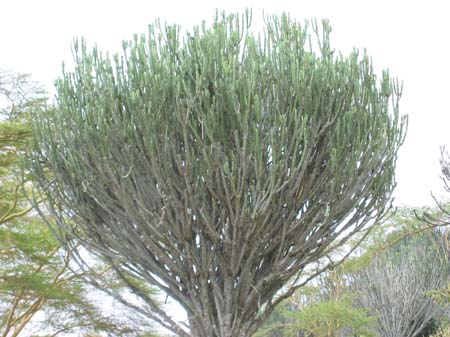 img_0139
