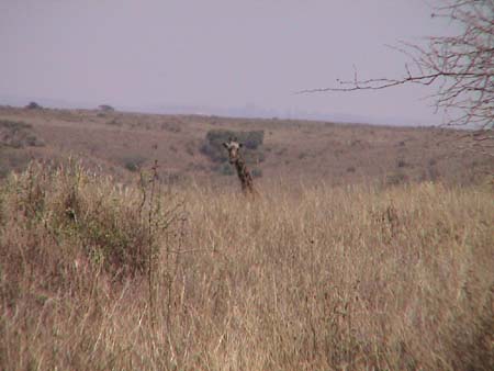 img_0156d