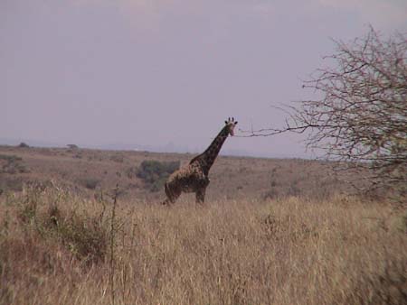 img_0156e