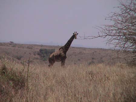 img_0156f