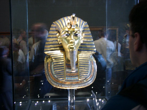 11290016.JPG