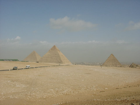11290027.JPG