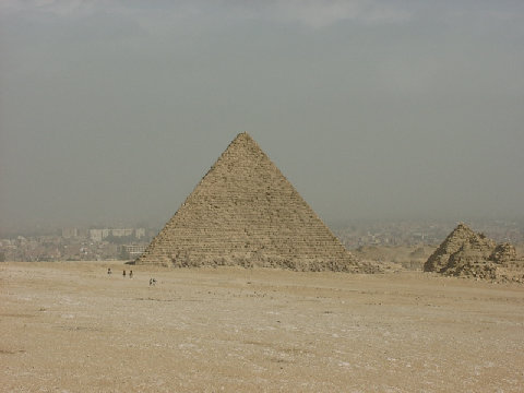 11290029.JPG