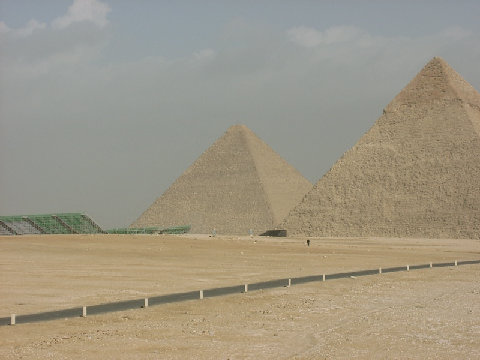 11290030.JPG