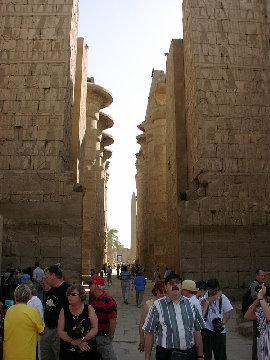 11270009.JPG