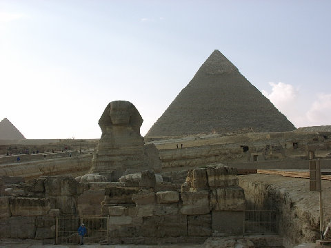 11290040.JPG