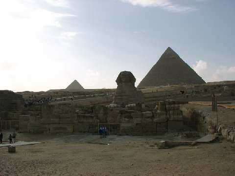11290042.JPG