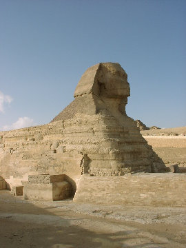 11290045.JPG