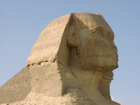 11290047.JPG
