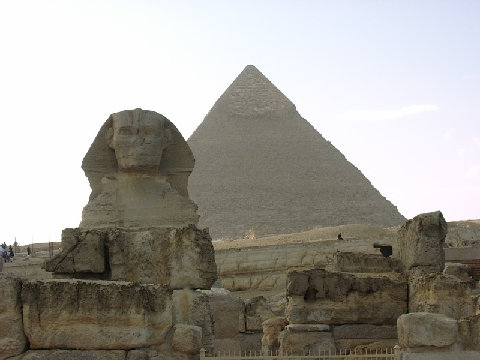 11290048.JPG