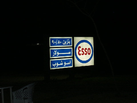 11290052.JPG