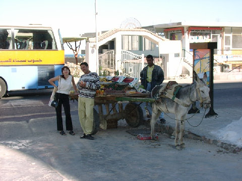 12020004.JPG