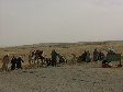 11290036.JPG