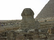 11290041.JPG
