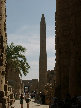 11270012.JPG