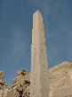 11270014.JPG