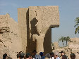 11270016.JPG