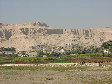 11270037.JPG