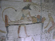 11270048.JPG
