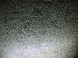 11270052.JPG