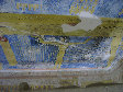 11270059.JPG