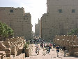 11270005.JPG
