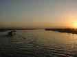 11270075.JPG