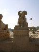 11270006.JPG