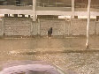 11290002.JPG
