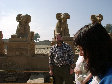 11270007.JPG