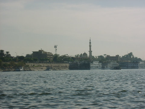 11270027.JPG