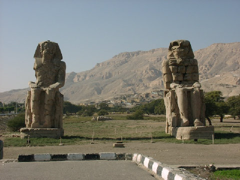 11270035.JPG