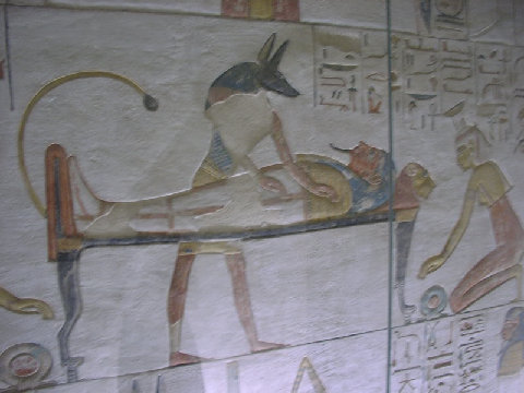 11270048.JPG