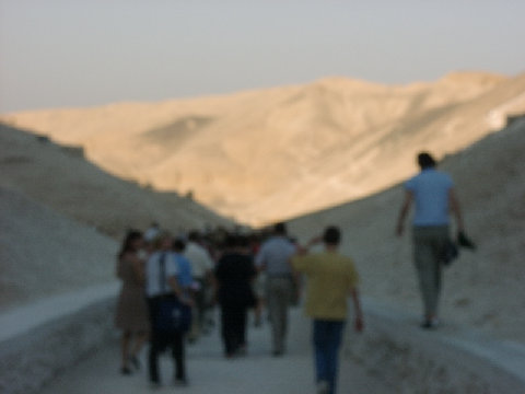 11270057.JPG