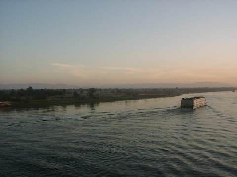 11270074.JPG