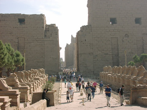 11270005.JPG
