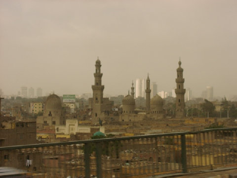 11290005.JPG