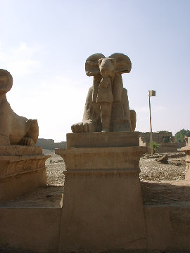 11270006.JPG