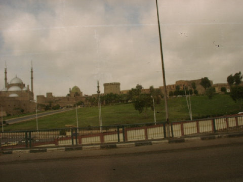 11290007.JPG