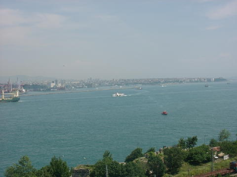 06020083