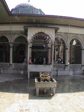 DSC00111