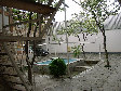 03270070.JPG