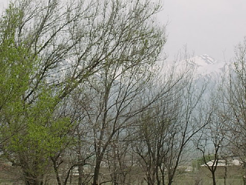 03260001.JPG