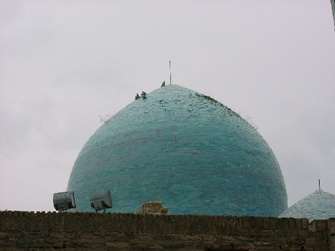 03260029.JPG
