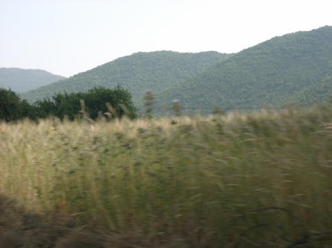 05270019