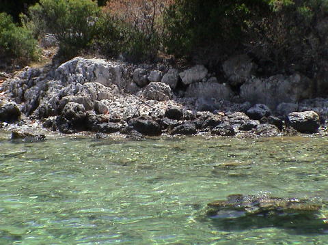 DSC00045
