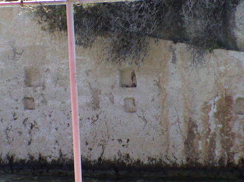DSC00048