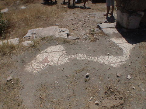 DSC00066
