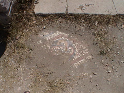 DSC00068
