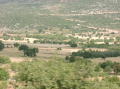 05270017